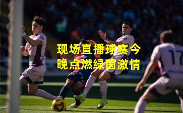 现场直播球赛今晚点燃绿茵激情