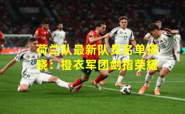 荷兰队最新队员名单揭晓：橙衣军团剑指荣耀