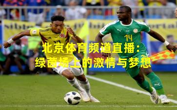 北京体育频道直播：绿茵场上的激情与梦想