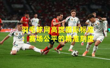 羽毛球网高度国际标准：赛场公平的精准刻度